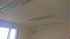 22157135_10212914885279639_1834975667_n.jpg