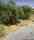 Screenshot_20230307-121434_Maps.jpg