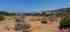 20210802_134757.jpg
