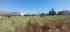 20220606_111759.jpg