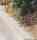 Screenshot_20240222-115545_Maps.jpg